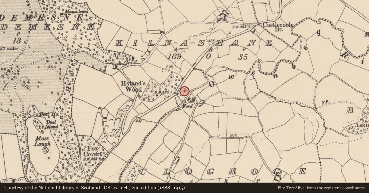 Ordnance Survey six-inch map, 2nd edition (1888–1915) covering the location of Metalworking site, Cloghoge, County Laois, with a pin at the register's coordinates