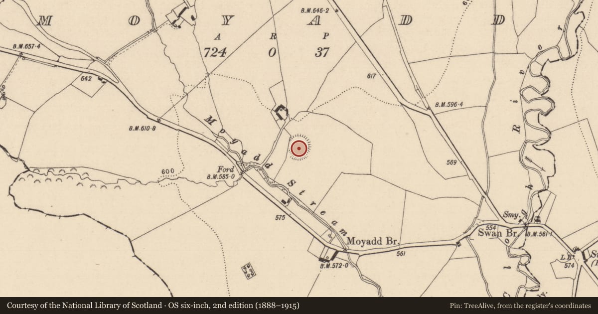 Ordnance Survey six-inch map, 2nd edition (1888–1915) covering the location of Ringfort - rath, Moyadd, County Laois, with a pin at the register's coordinates