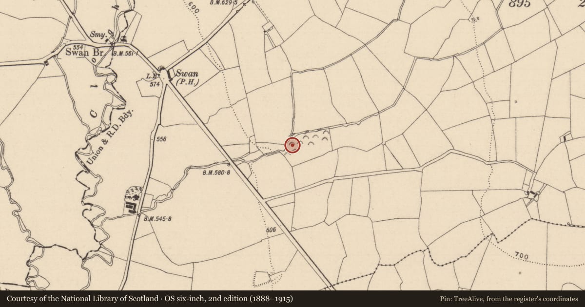 Ordnance Survey six-inch map, 2nd edition (1888–1915) covering the location of Fulacht fia, Slatt Lower, County Laois, with a pin at the register's coordinates