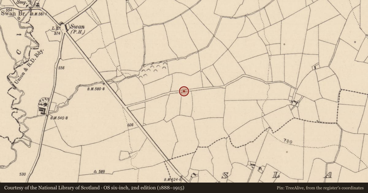 Ordnance Survey six-inch map, 2nd edition (1888–1915) covering the location of Fulacht fia, Slatt Lower, County Laois, with a pin at the register's coordinates