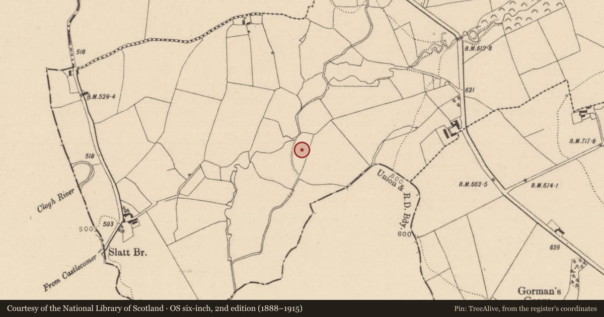 Ordnance Survey six-inch map, 2nd edition (1888–1915) covering the location of Field boundary, Slatt Upper, County Laois, with a pin at the register's coordinates