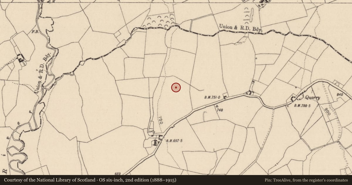 Ordnance Survey six-inch map, 2nd edition (1888–1915) covering the location of Enclosure, Slatt Lower, County Laois, with a pin at the register's coordinates