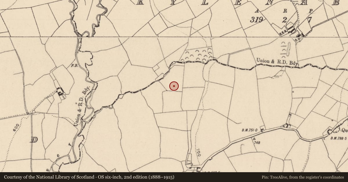 Ordnance Survey six-inch map, 2nd edition (1888–1915) covering the location of Fulacht fia, Slatt Lower, County Laois, with a pin at the register's coordinates
