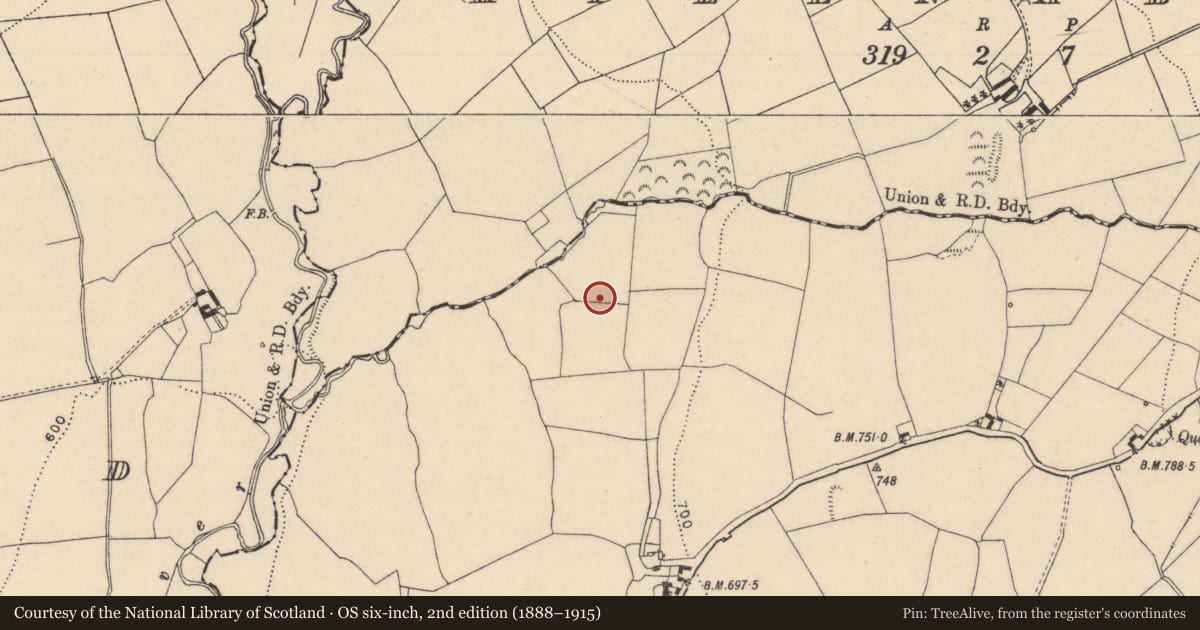 Ordnance Survey six-inch map, 2nd edition (1888–1915) covering the location of Fulacht fia, Slatt Lower, County Laois, with a pin at the register's coordinates