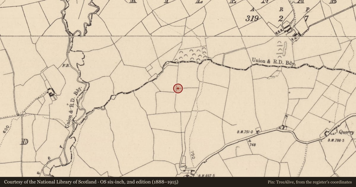Ordnance Survey six-inch map, 2nd edition (1888–1915) covering the location of Fulacht fia, Slatt Lower, County Laois, with a pin at the register's coordinates