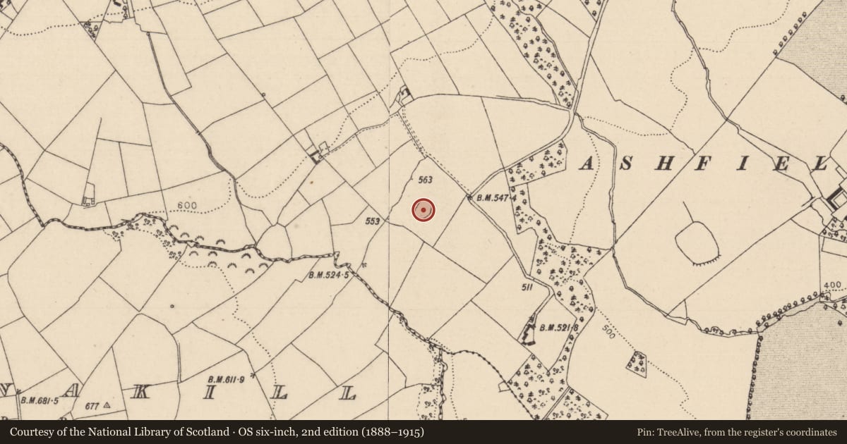 Ordnance Survey six-inch map, 2nd edition (1888–1915) covering the location of Enclosure, Ashfield, County Laois, with a pin at the register's coordinates