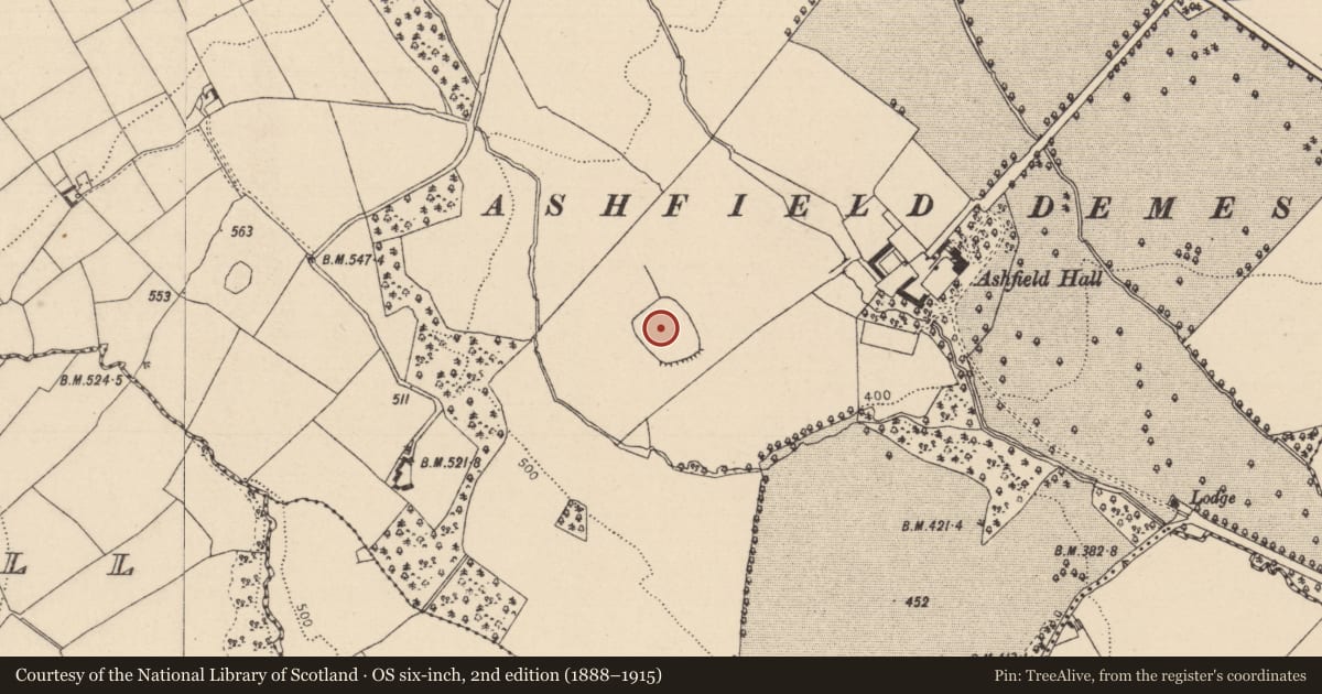 Ordnance Survey six-inch map, 2nd edition (1888–1915) covering the location of Moated site, Ashfield, County Laois, with a pin at the register's coordinates