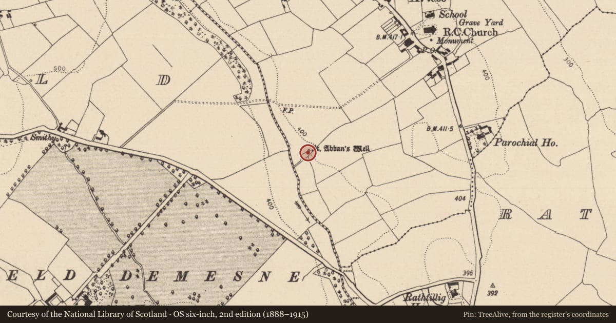 Ordnance Survey six-inch map, 2nd edition (1888–1915) covering the location of Ritual site - holy well, Ballynagall, County Laois, with a pin at the register's coordinates