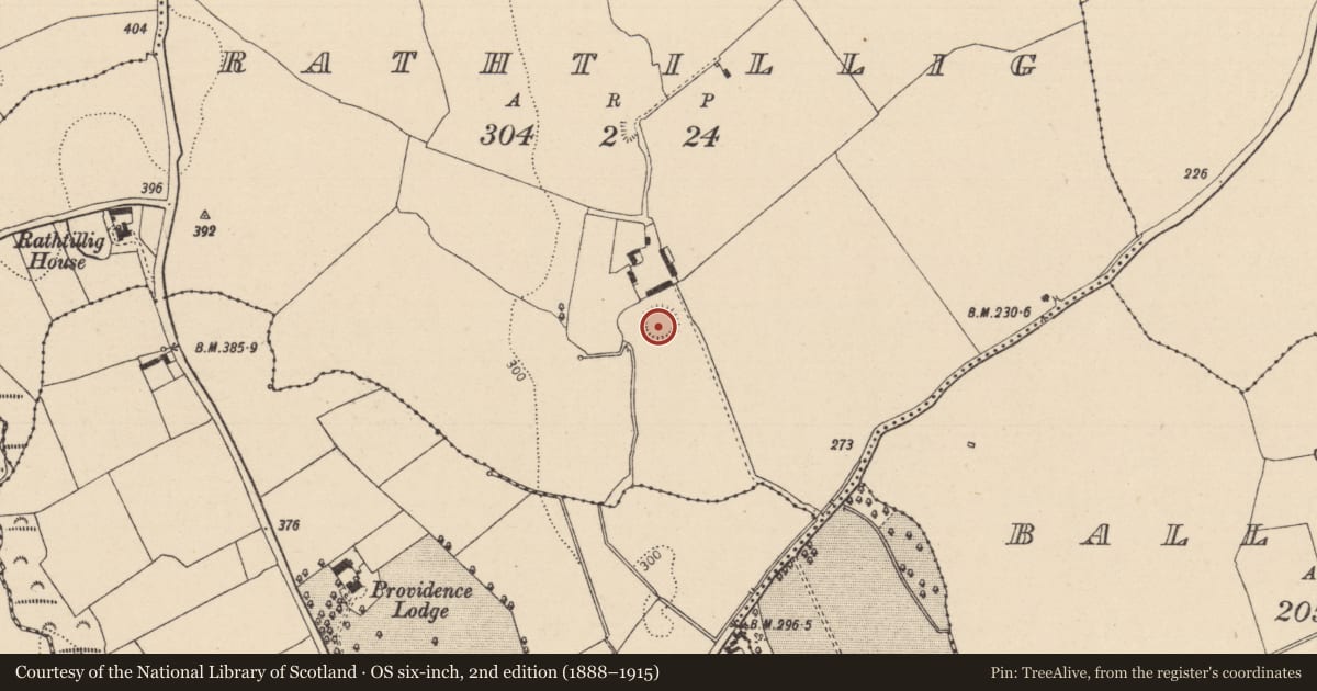Ordnance Survey six-inch map, 2nd edition (1888–1915) covering the location of Enclosure, Rathtillig, County Laois, with a pin at the register's coordinates