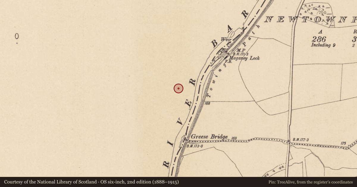 Ordnance Survey six-inch map, 2nd edition (1888–1915) covering the location of Castle - unclassified, Grange, County Laois, with a pin at the register's coordinates
