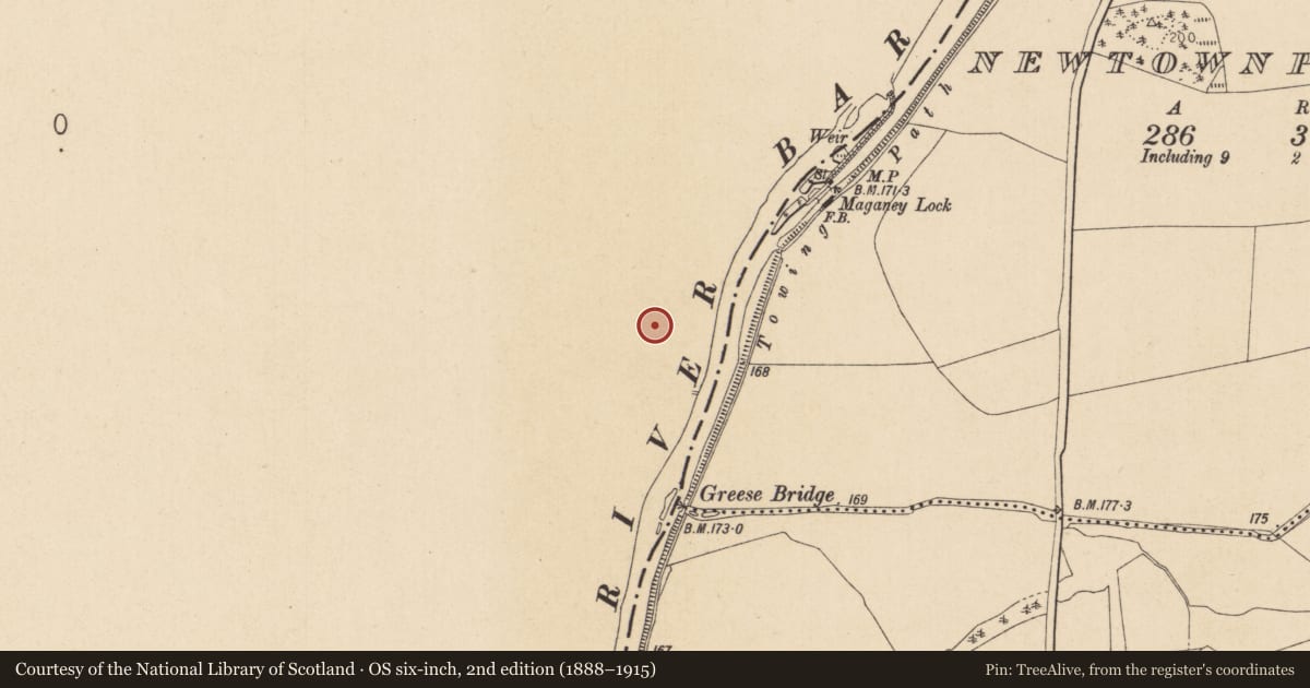 Ordnance Survey six-inch map, 2nd edition (1888–1915) covering the location of Inscribed stone, Grange, County Laois, with a pin at the register's coordinates