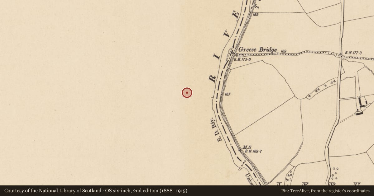 Ordnance Survey six-inch map, 2nd edition (1888–1915) covering the location of Church, Grange, County Laois, with a pin at the register's coordinates