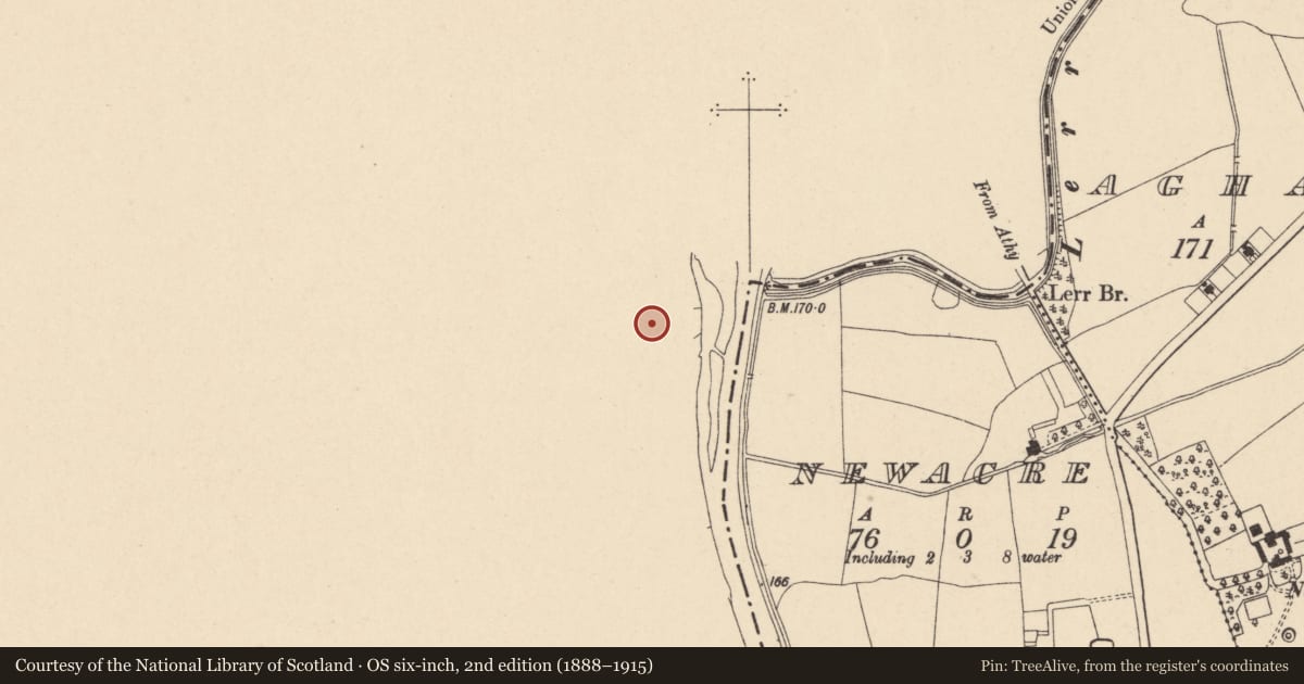 Ordnance Survey six-inch map, 2nd edition (1888–1915) covering the location of Castle - tower house, Shrule, County Laois, with a pin at the register's coordinates