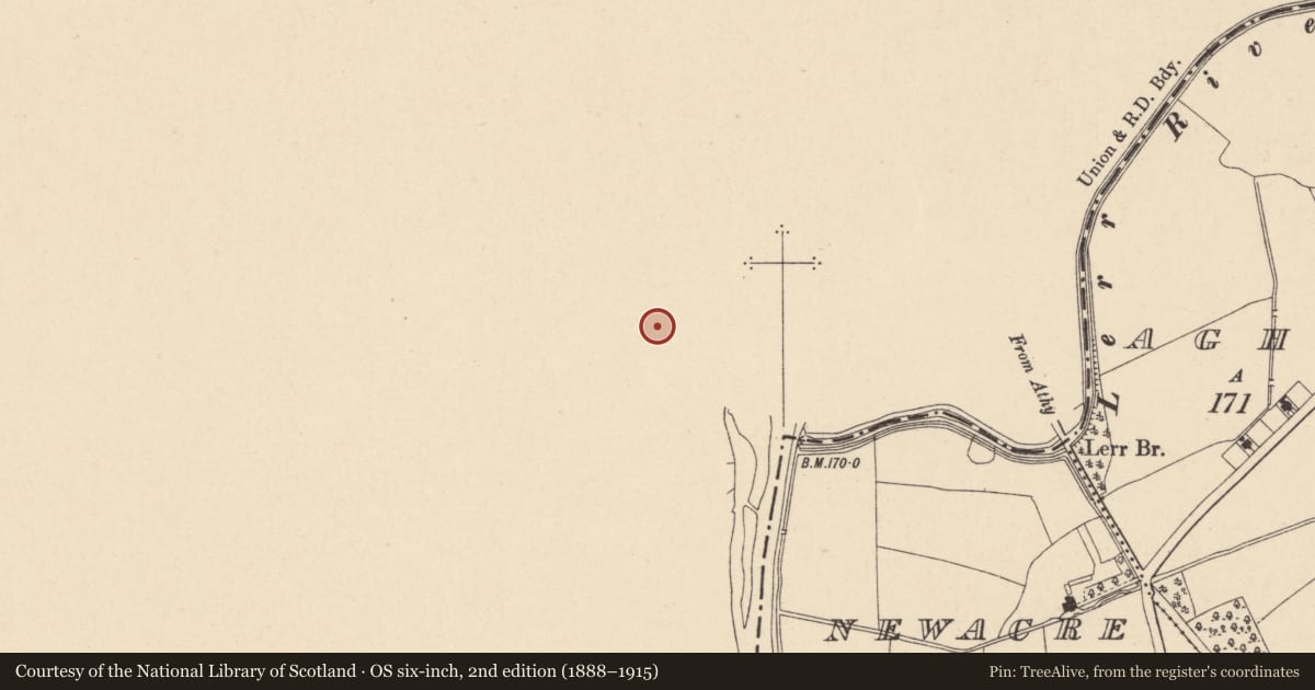 Ordnance Survey six-inch map, 2nd edition (1888–1915) covering the location of Linear earthwork, Shrule, County Laois, with a pin at the register's coordinates