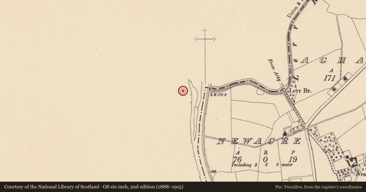 Ordnance Survey six-inch map, 2nd edition (1888–1915) covering the location of Church, Shrule, County Laois, with a pin at the register's coordinates