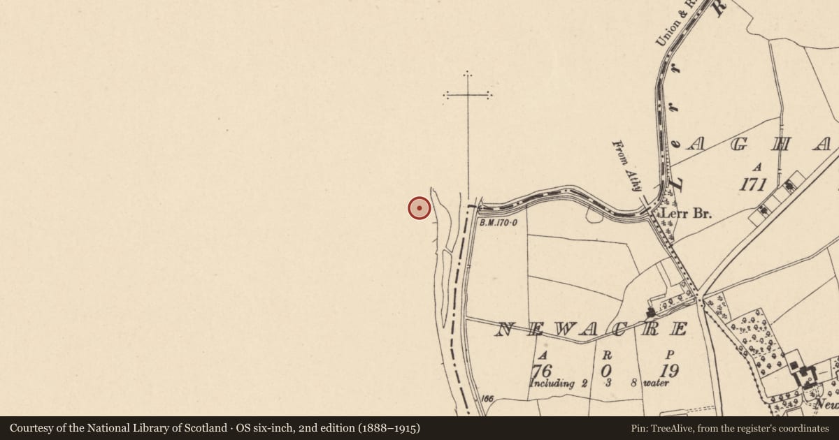 Ordnance Survey six-inch map, 2nd edition (1888–1915) covering the location of Graveyard, Shrule, County Laois, with a pin at the register's coordinates