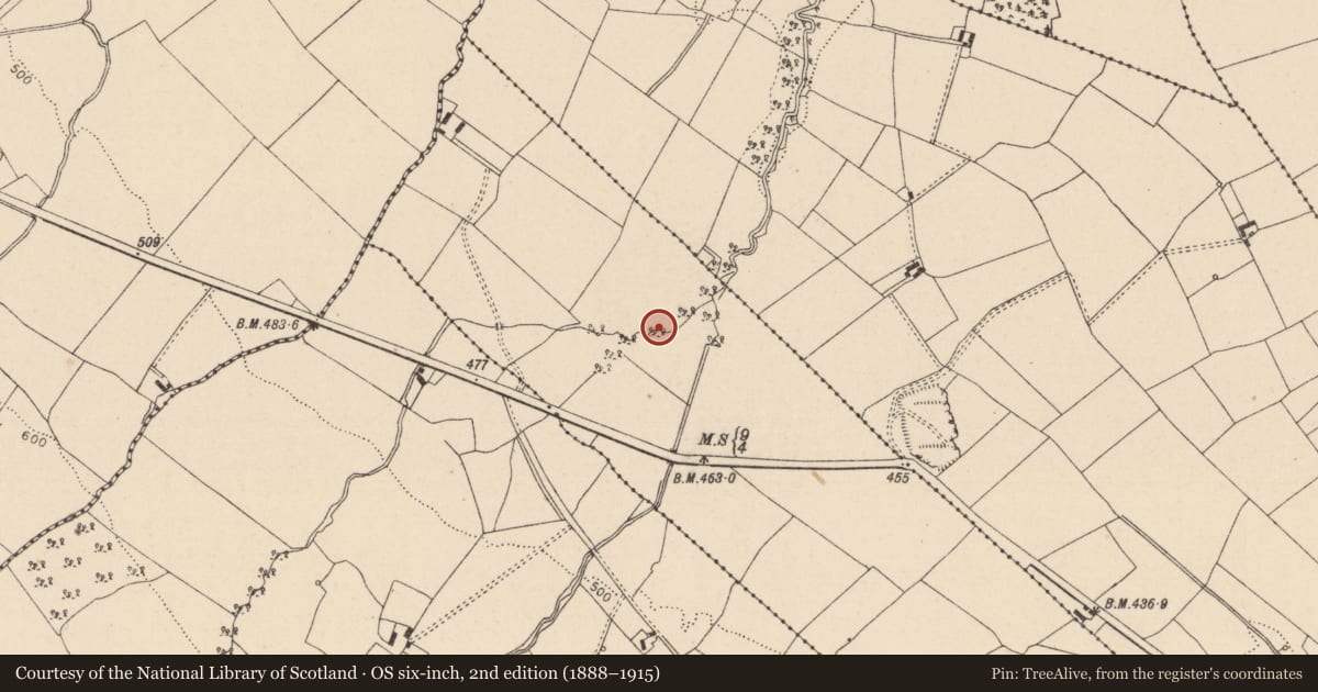 Ordnance Survey six-inch map, 2nd edition (1888–1915) covering the location of Enclosure, Cloonaloo, County Laois, with a pin at the register's coordinates