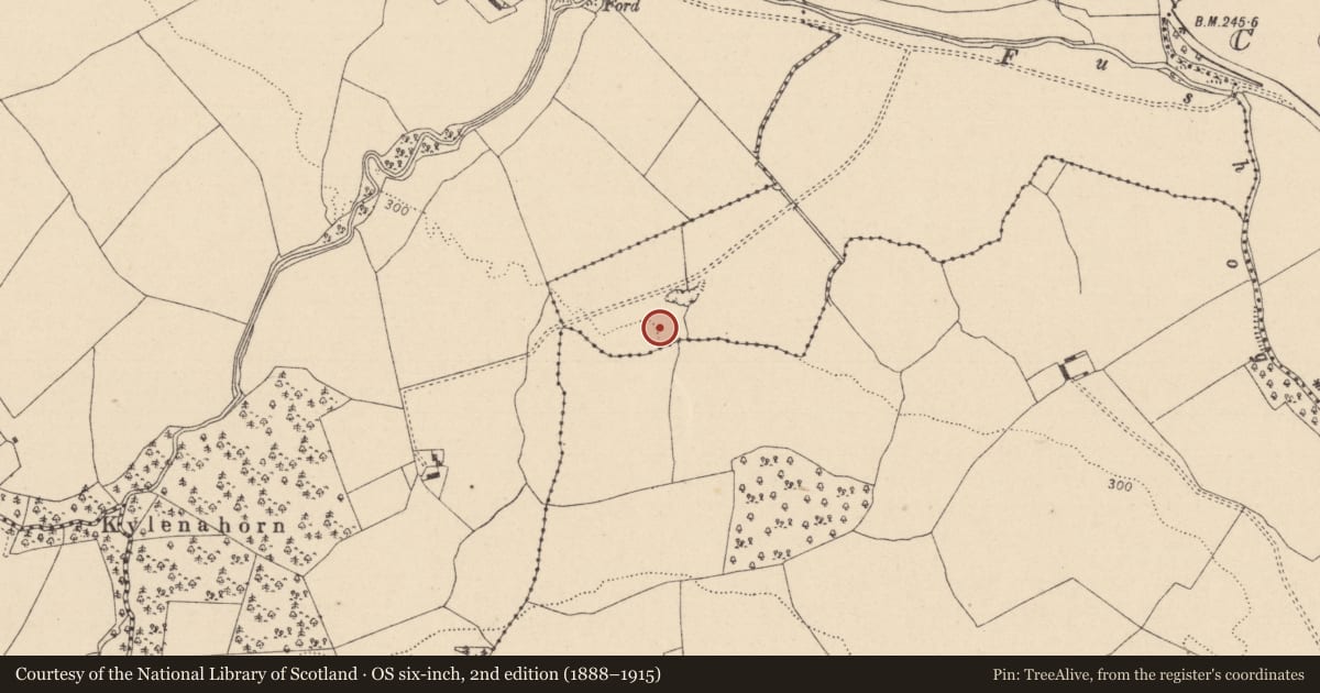 Ordnance Survey six-inch map, 2nd edition (1888–1915) covering the location of Ringfort - unclassified, Cooperhill Demesne, County Laois, with a pin at the register's coordinates