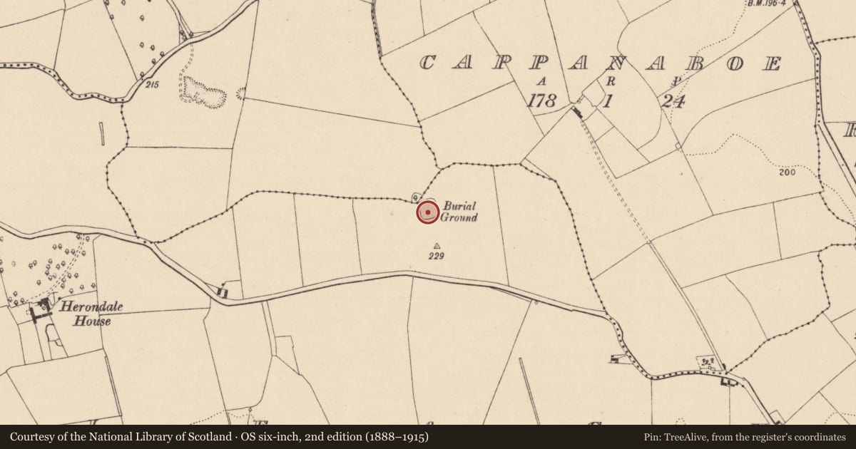 Ordnance Survey six-inch map, 2nd edition (1888–1915) covering the location of Burial ground, Leagh, County Laois, with a pin at the register's coordinates