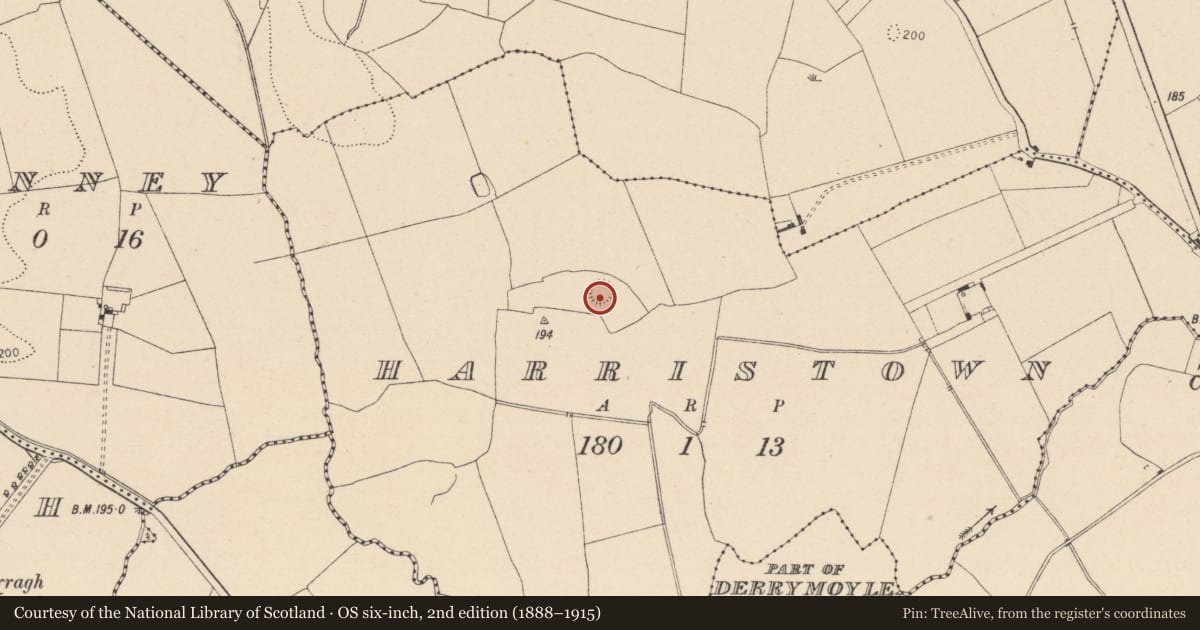 Ordnance Survey six-inch map, 2nd edition (1888–1915) covering the location of Ringfort - rath, Harristown, County Laois, with a pin at the register's coordinates