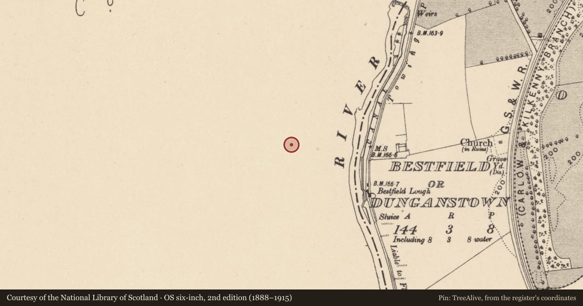 Ordnance Survey six-inch map, 2nd edition (1888–1915) covering the location of Ritual site - holy well, Knockbeg, County Laois, with a pin at the register's coordinates