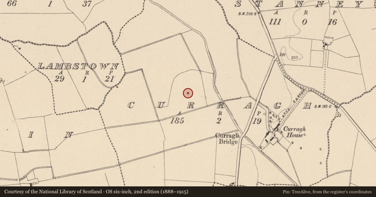 Ordnance Survey six-inch map, 2nd edition (1888–1915) covering the location of Ringfort - rath, Curragh, County Laois, with a pin at the register's coordinates