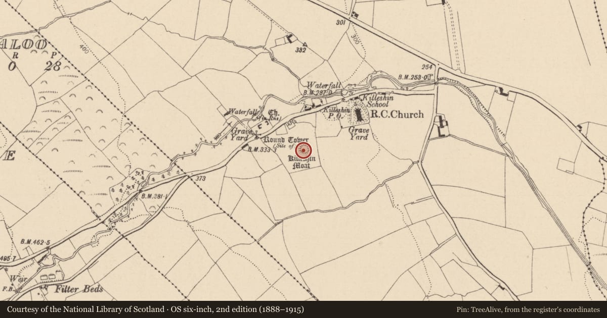 Ordnance Survey six-inch map, 2nd edition (1888–1915) covering the location of Castle - unclassified, Killeshin, County Laois, with a pin at the register's coordinates
