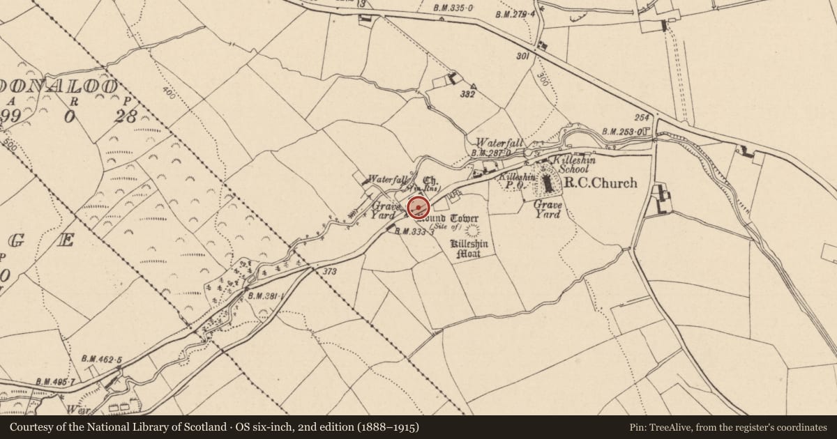 Ordnance Survey six-inch map, 2nd edition (1888–1915) covering the location of Graveslab, Killeshin, County Laois, with a pin at the register's coordinates