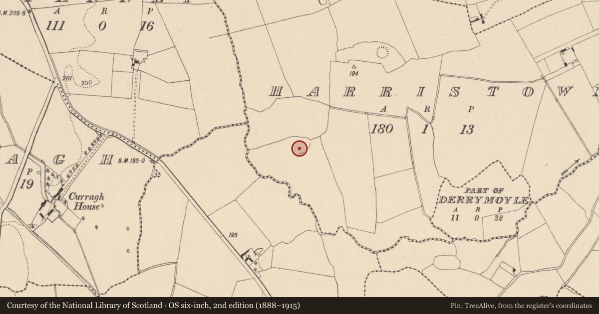 Ordnance Survey six-inch map, 2nd edition (1888–1915) covering the location of Enclosure, Harristown, County Laois, with a pin at the register's coordinates
