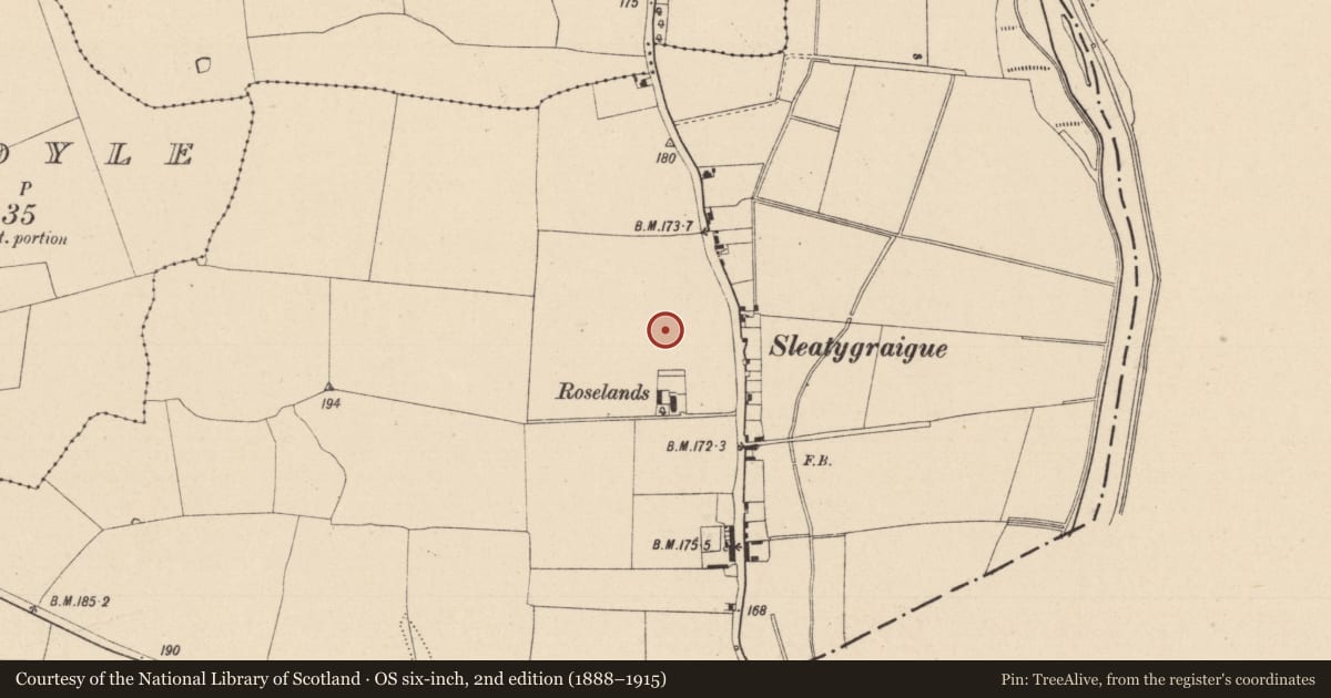 Ordnance Survey six-inch map, 2nd edition (1888–1915) covering the location of Burnt spread, Graigue, County Laois, with a pin at the register's coordinates