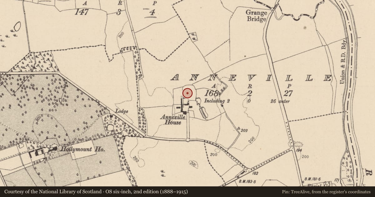 Ordnance Survey six-inch map, 2nd edition (1888–1915) covering the location of Enclosure, Anneville, County Laois, with a pin at the register's coordinates
