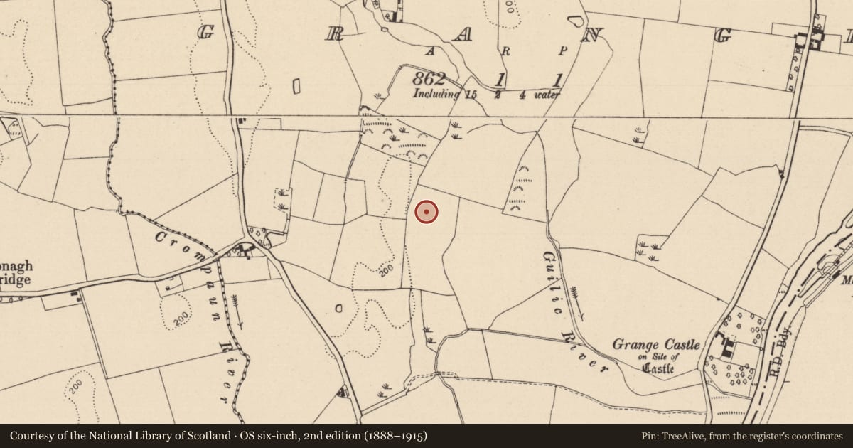 Ordnance Survey six-inch map, 2nd edition (1888–1915) covering the location of Enclosure, Grange, County Laois, with a pin at the register's coordinates