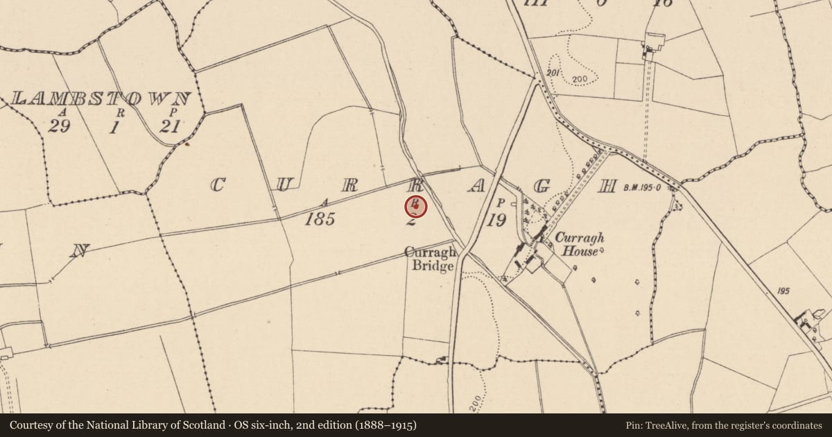 Ordnance Survey six-inch map, 2nd edition (1888–1915) covering the location of Enclosure, Curragh, County Laois, with a pin at the register's coordinates