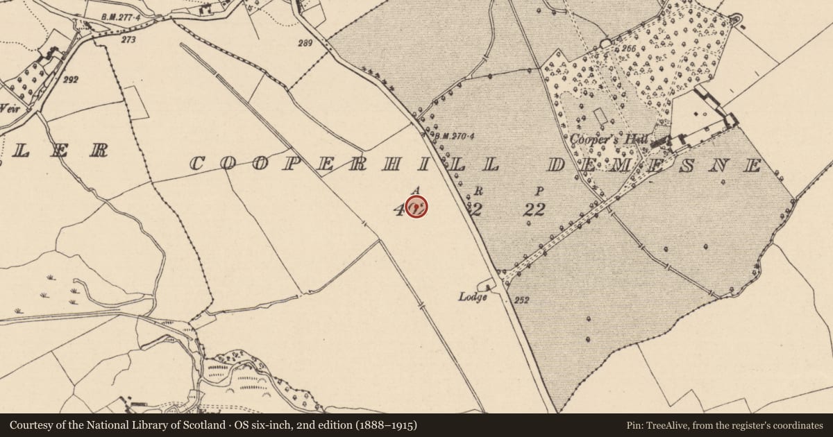 Ordnance Survey six-inch map, 2nd edition (1888–1915) covering the location of Enclosure, Cooperhill Demesne, County Laois, with a pin at the register's coordinates