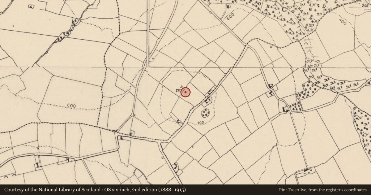 Ordnance Survey six-inch map, 2nd edition (1888–1915) covering the location of Hilltop enclosure, Maidenhead, County Laois, with a pin at the register's coordinates