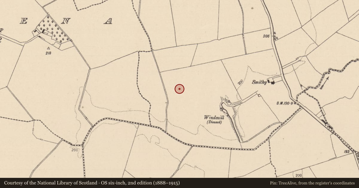 Ordnance Survey six-inch map, 2nd edition (1888–1915) covering the location of Enclosure, Clonagh, County Laois, with a pin at the register's coordinates