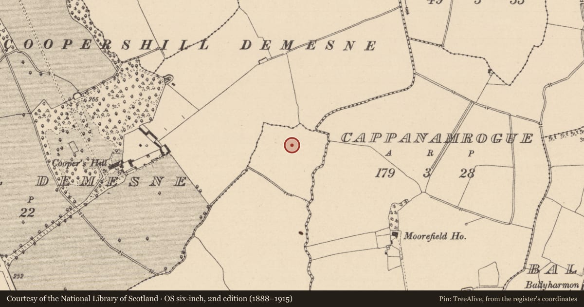 Ordnance Survey six-inch map, 2nd edition (1888–1915) covering the location of Enclosure, Coolrain, County Laois, with a pin at the register's coordinates