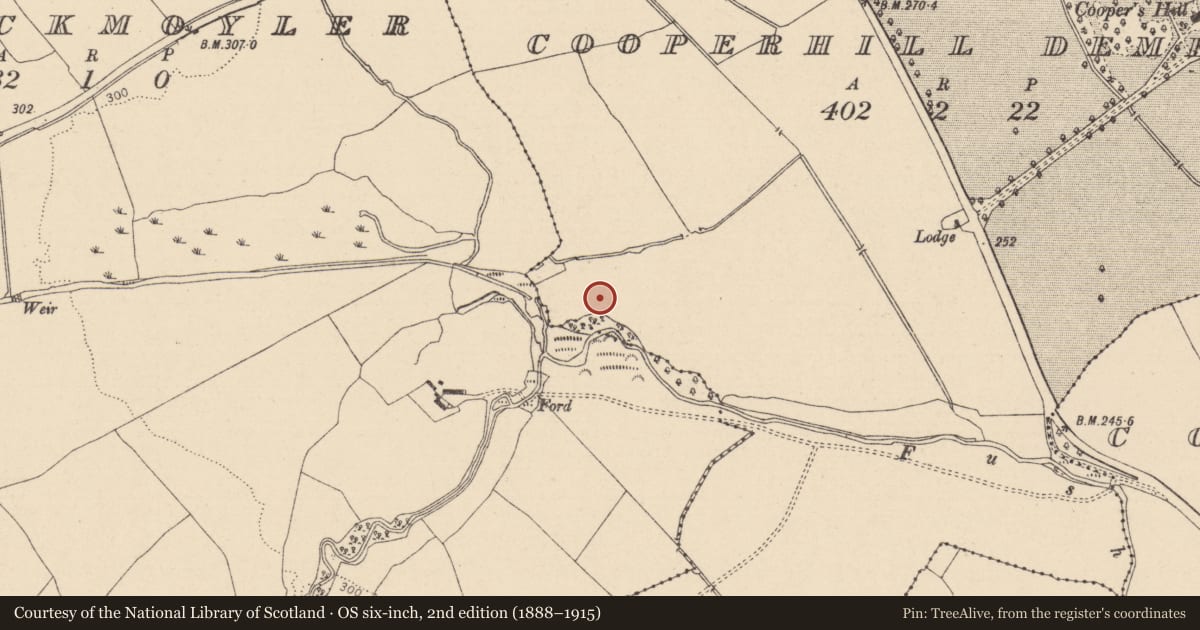 Ordnance Survey six-inch map, 2nd edition (1888–1915) covering the location of Enclosure - large enclosure, Cooperhill Demesne, County Laois, with a pin at the register's coordinates