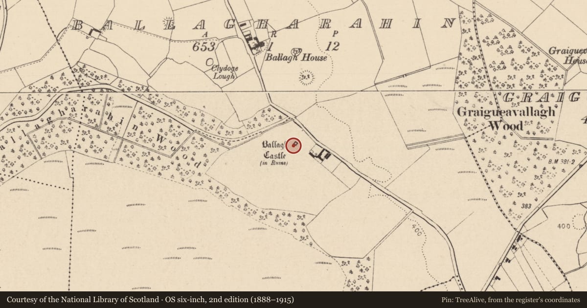 Ordnance Survey six-inch map, 2nd edition (1888–1915) covering the location of Castle - tower house, Ballagharahin, County Laois, with a pin at the register's coordinates