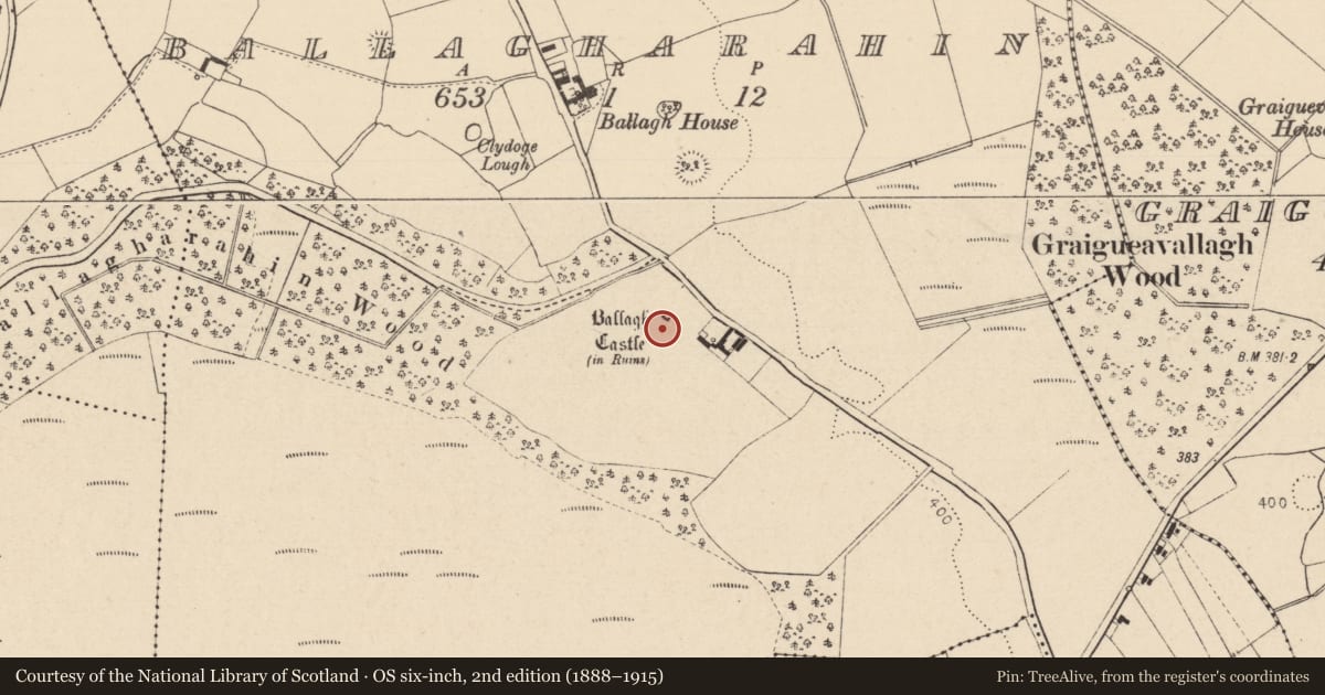 Ordnance Survey six-inch map, 2nd edition (1888–1915) covering the location of Bawn, Ballagharahin, County Laois, with a pin at the register's coordinates