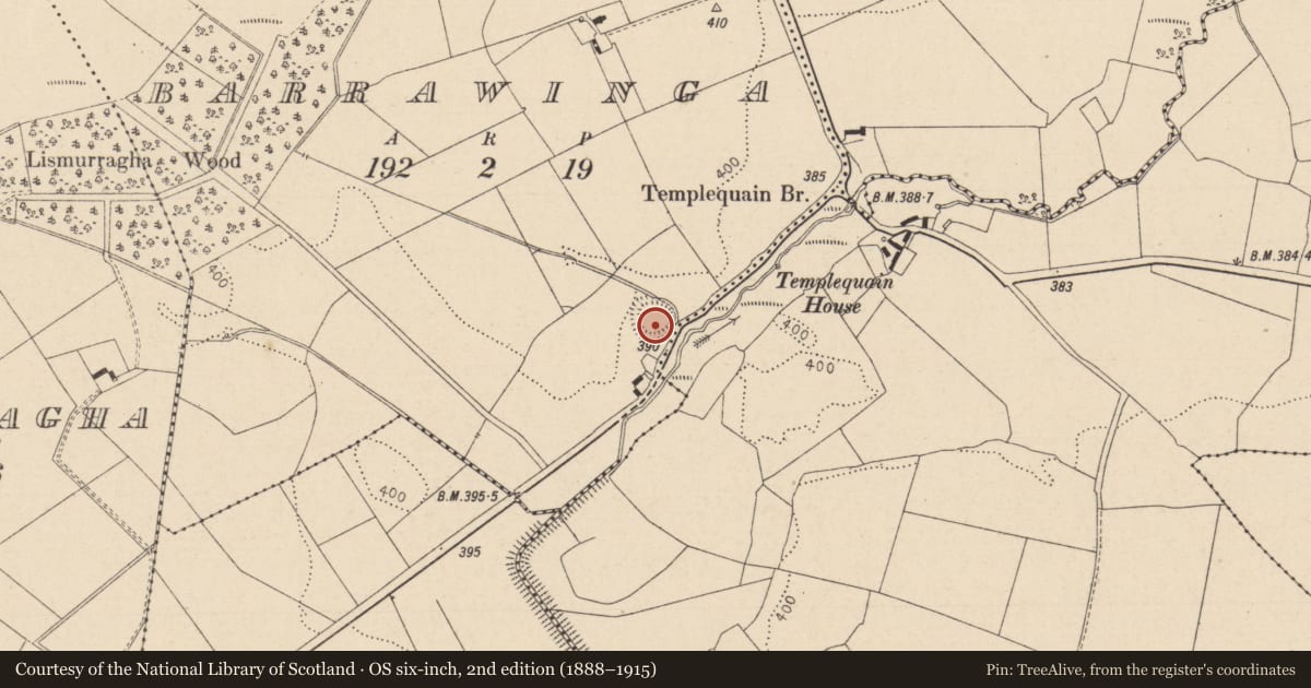 Ordnance Survey six-inch map, 2nd edition (1888–1915) covering the location of Ringfort - rath, Barrawinga, County Laois, with a pin at the register's coordinates