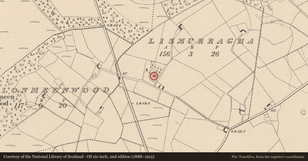 Ordnance Survey six-inch map, 2nd edition (1888–1915) covering the location of Enclosure, Lismurragha, County Laois, with a pin at the register's coordinates
