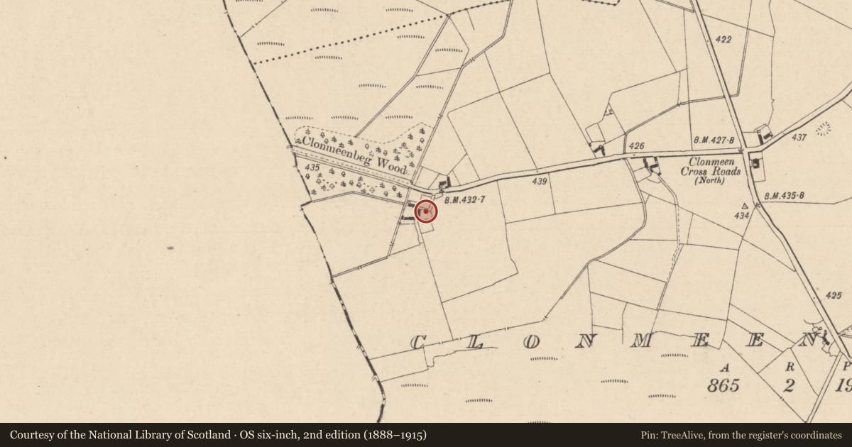 Ordnance Survey six-inch map, 2nd edition (1888–1915) covering the location of Ringfort - unclassified, Clonmeen North, County Laois, with a pin at the register's coordinates