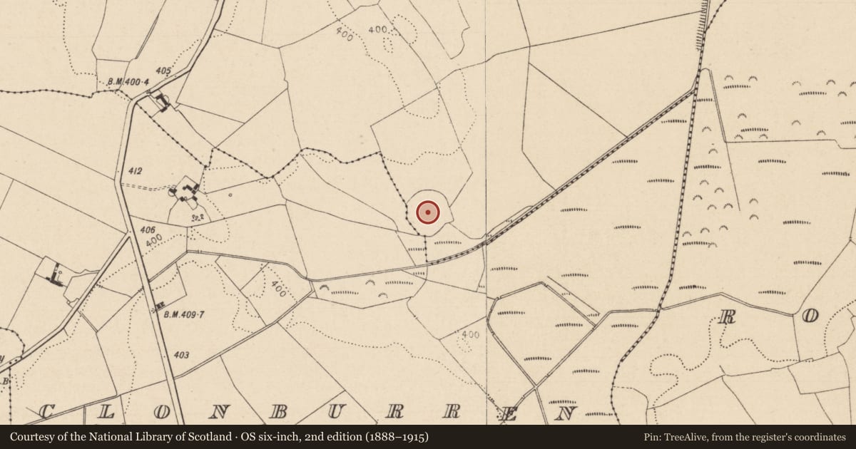 Ordnance Survey six-inch map, 2nd edition (1888–1915) covering the location of Enclosure, Cappalinnan, County Laois, with a pin at the register's coordinates