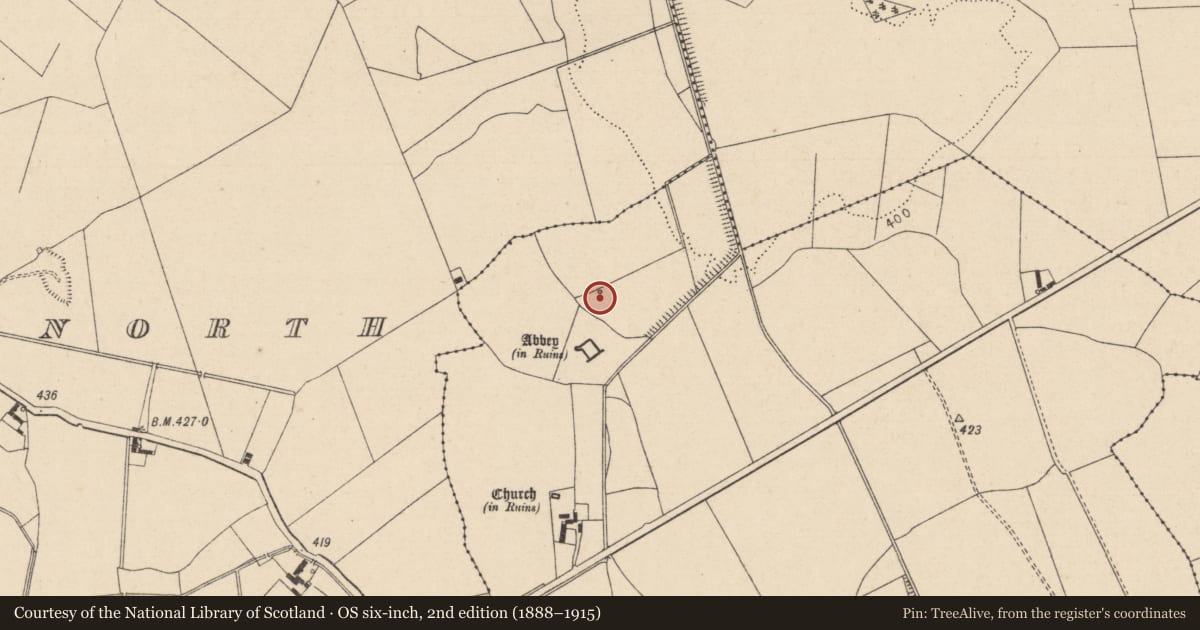 Ordnance Survey six-inch map, 2nd edition (1888–1915) covering the location of Ritual site - holy well, Clonmeen South, County Laois, with a pin at the register's coordinates