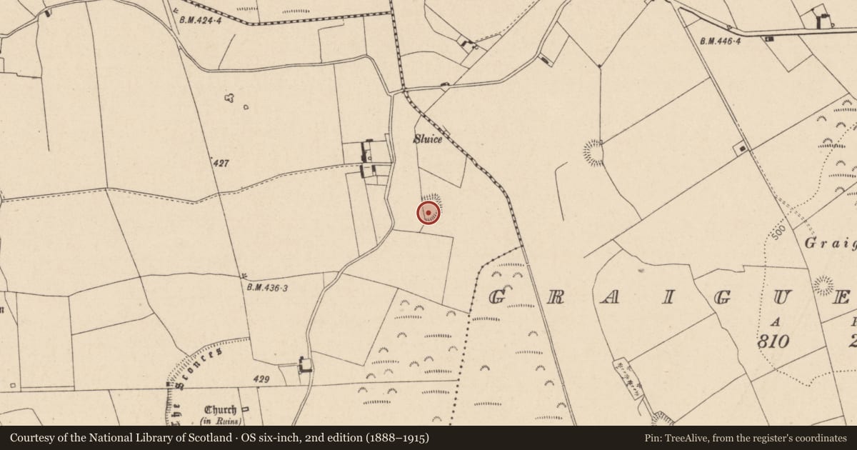 Ordnance Survey six-inch map, 2nd edition (1888–1915) covering the location of Ringfort - rath, Baunaghra, County Laois, with a pin at the register's coordinates