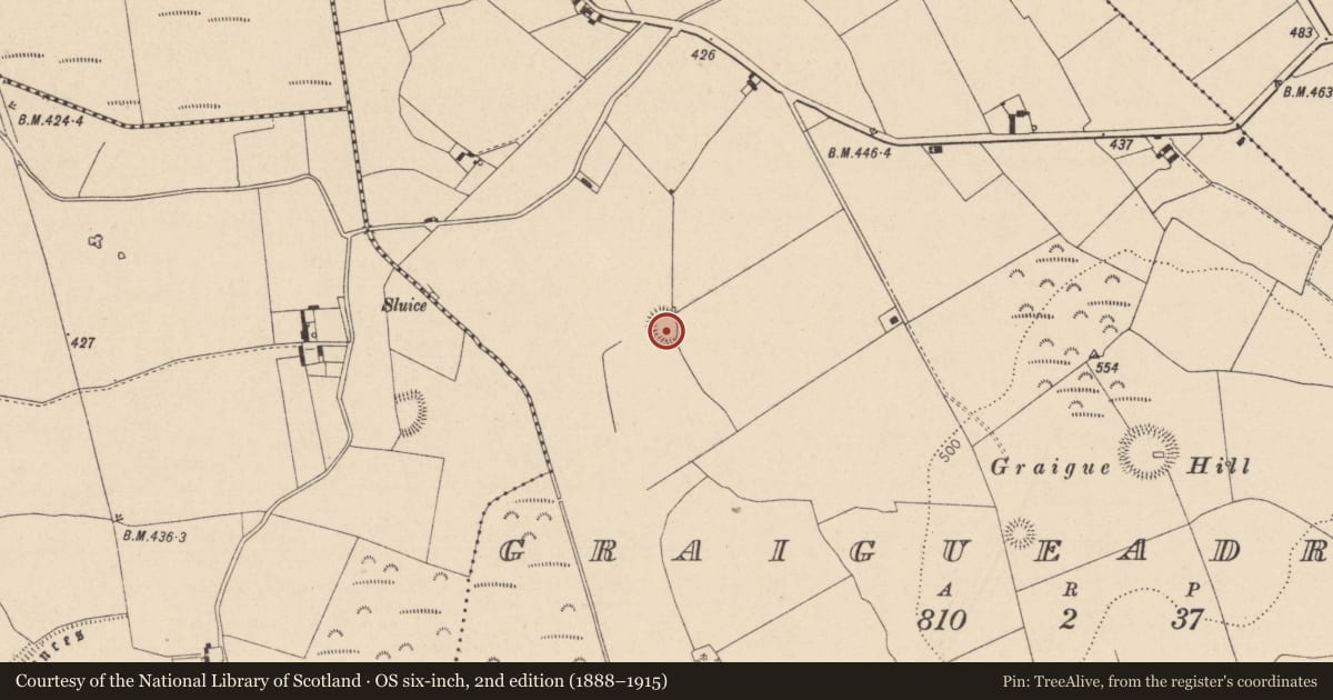 Ordnance Survey six-inch map, 2nd edition (1888–1915) covering the location of Ringfort - rath, Graigueadrisly, County Laois, with a pin at the register's coordinates