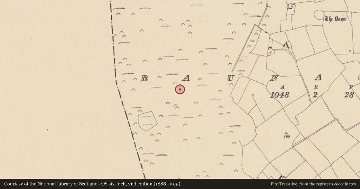 Ordnance Survey six-inch map, 2nd edition (1888–1915) covering the location of Road - unclassified togher, Baunaghra, County Laois, with a pin at the register's coordinates