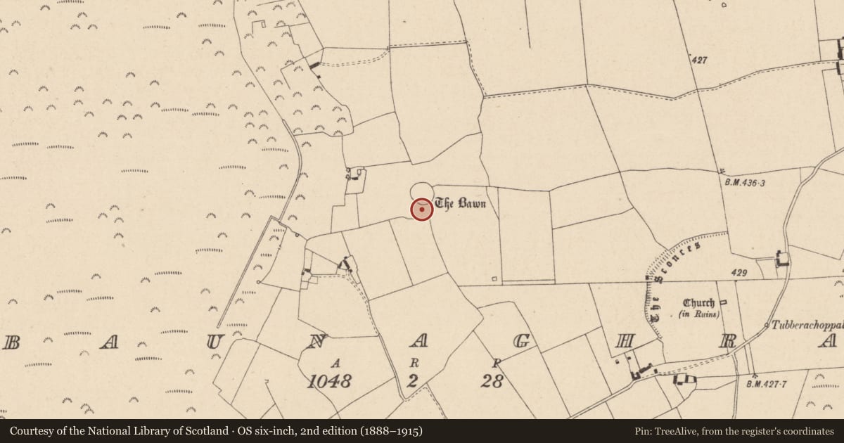 Ordnance Survey six-inch map, 2nd edition (1888–1915) covering the location of Well, Baunaghra, County Laois, with a pin at the register's coordinates