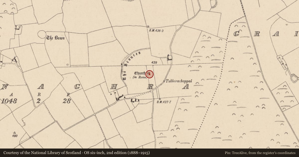Ordnance Survey six-inch map, 2nd edition (1888–1915) covering the location of Architectural feature, Baunaghra, County Laois, with a pin at the register's coordinates